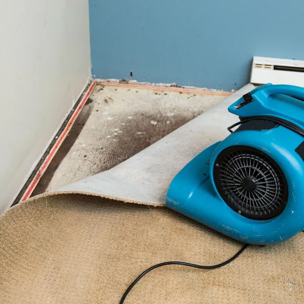 Air mover drying a wet subfloor after water damage in a home